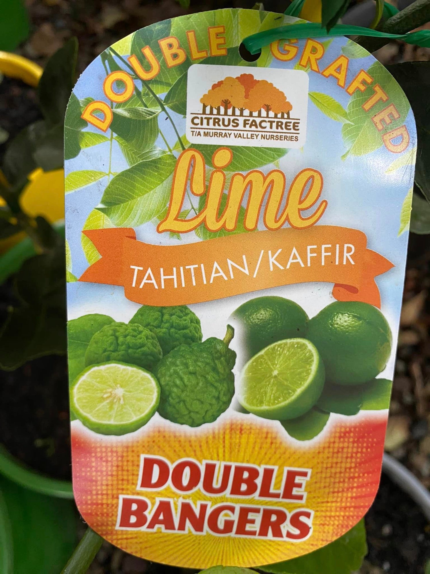 Native Bushfoods