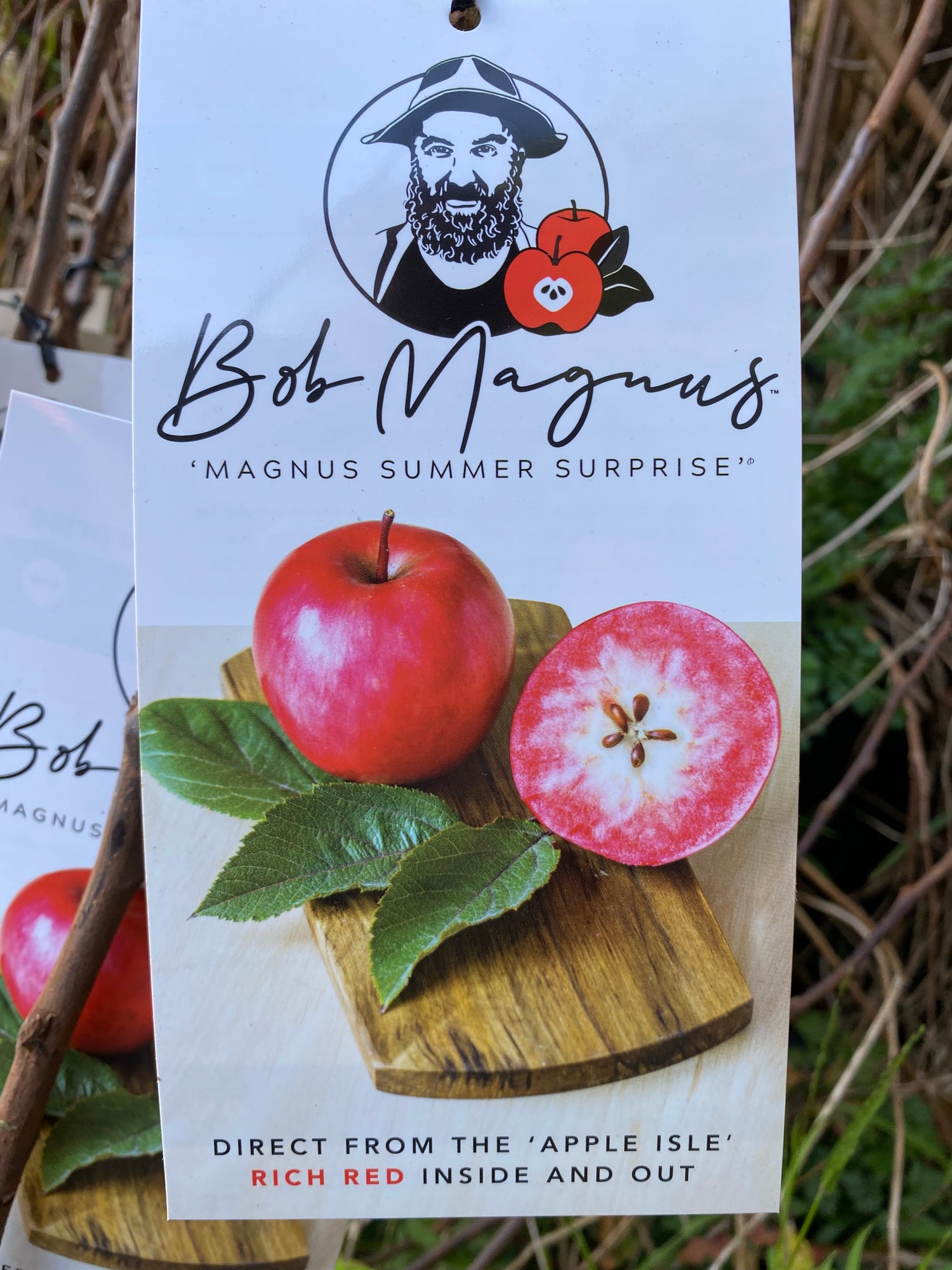 Dwarf Apples