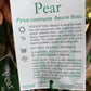 Beurre Bosc Pear