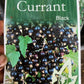 Black Currant