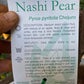 Chojuro Nashi Pear
