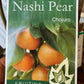 Chojuro Nashi Pear