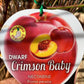 Dwarf Crimson Baby Nectarine