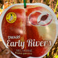 Dwarf Early Rivers Nectarine