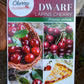 Dwarf Lapins Cherry