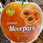 Dwarf Moorpark Apricot