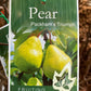 Packham's Triumph Pear
