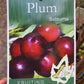 Satsuma Plum