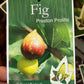 Preston Prolific Fig
