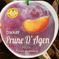 Dwarf Prune D'Agen Plum