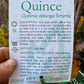 Smyrna Quince