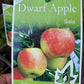 Semi Dwarf Gala Apple