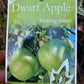 Semi Dwarf Granny Smith Apple