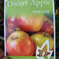Semi Dwarf Pink Lady Apple