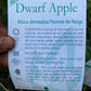 Semi Dwarf Pomme de Neige Apple