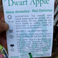 Semi Dwarf Red Delicious Apple