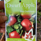 Semi Dwarf Red Delicious Apple