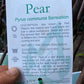 Sensation Pear