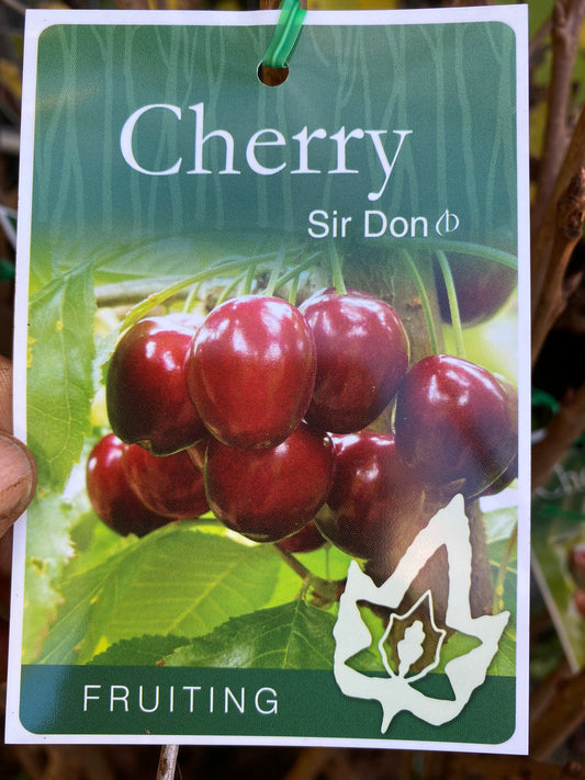 Sir Don Cherry