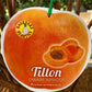 Dwarf Tilton Apricot