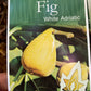 White Adriatic Fig